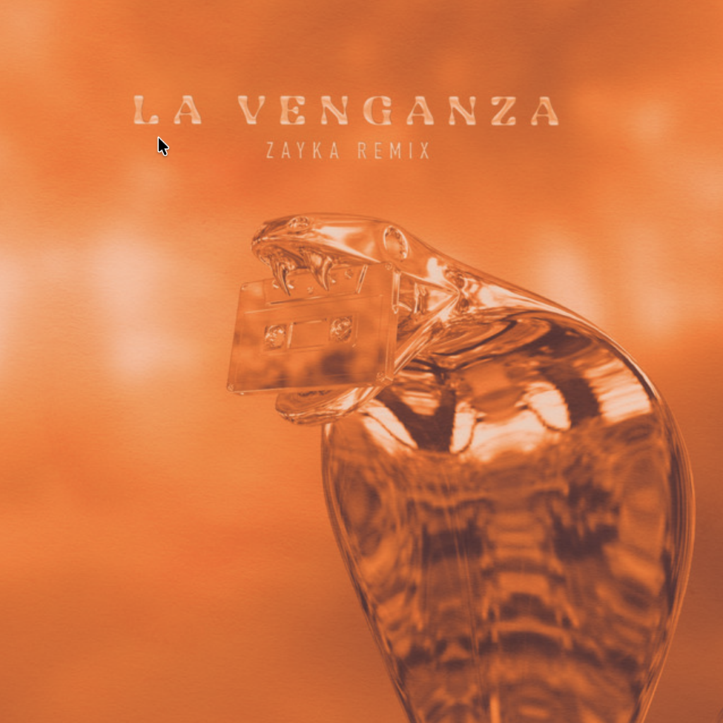 La Venganza - ZAYKA Remix