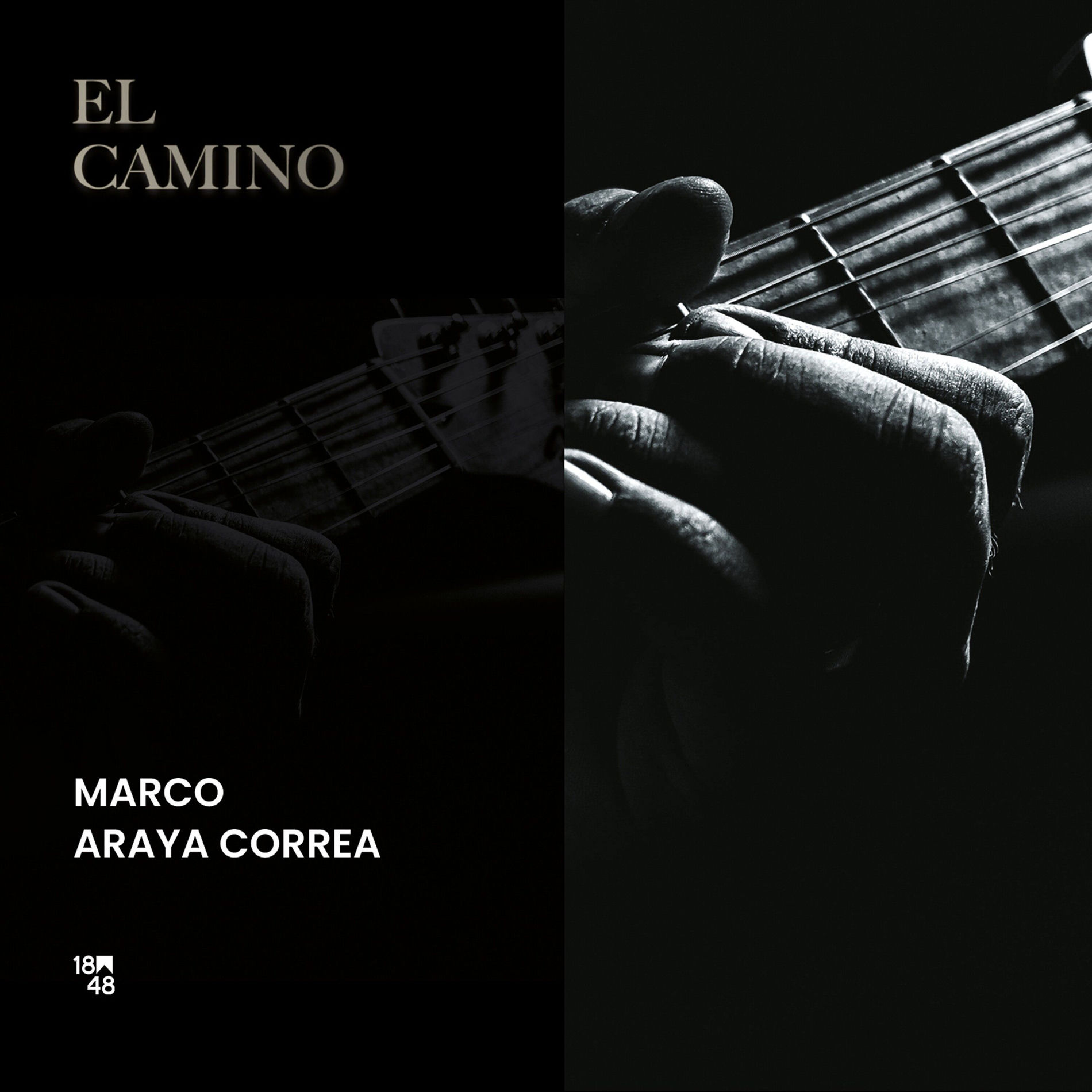 MARCO ARAYA CORREA